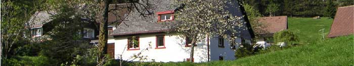 Panorama in Muggenbrunn
